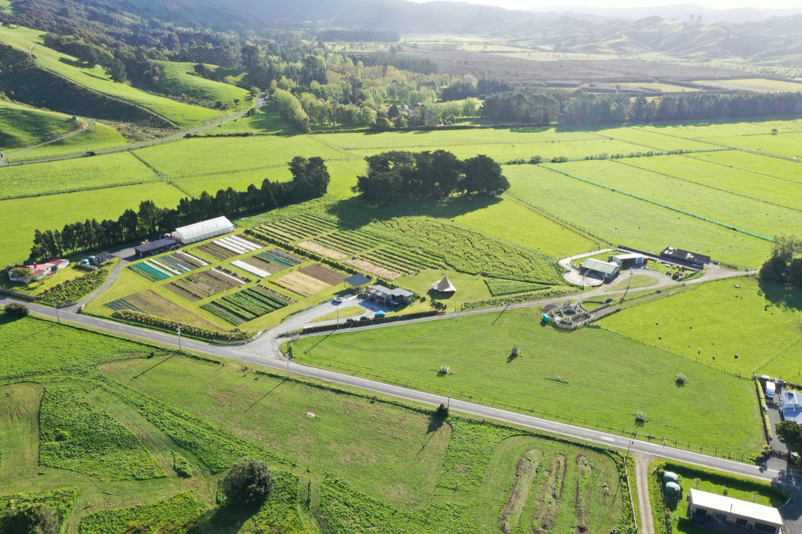 Aerial view of Mangaroa Farms pastures